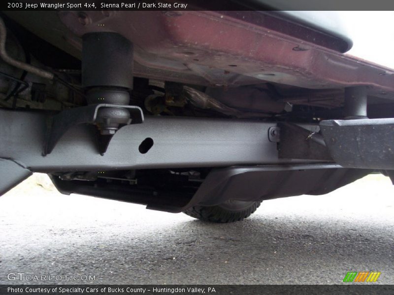 Sienna Pearl / Dark Slate Gray 2003 Jeep Wrangler Sport 4x4
