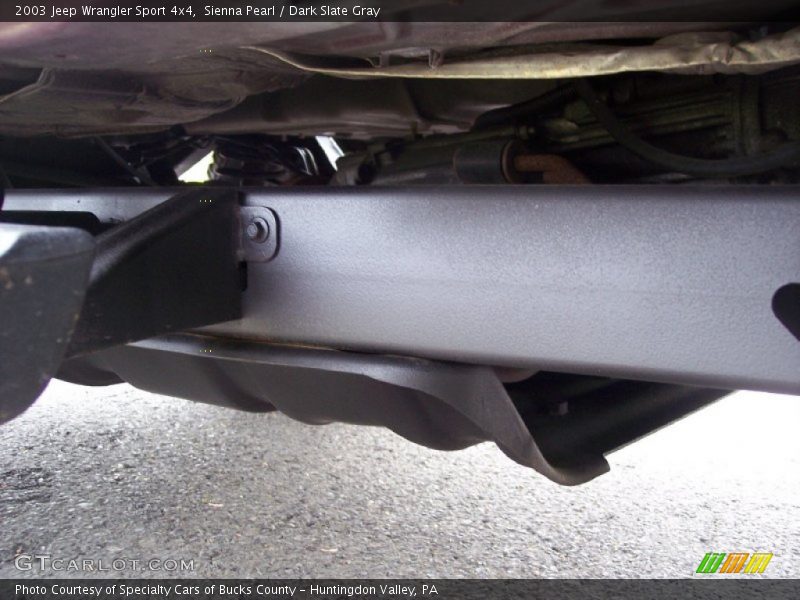 Sienna Pearl / Dark Slate Gray 2003 Jeep Wrangler Sport 4x4