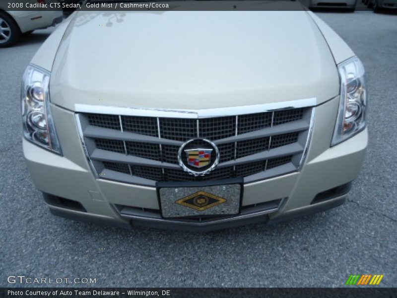 Gold Mist / Cashmere/Cocoa 2008 Cadillac CTS Sedan