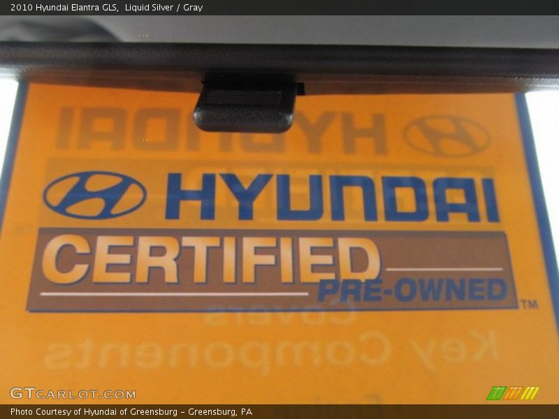 Liquid Silver / Gray 2010 Hyundai Elantra GLS