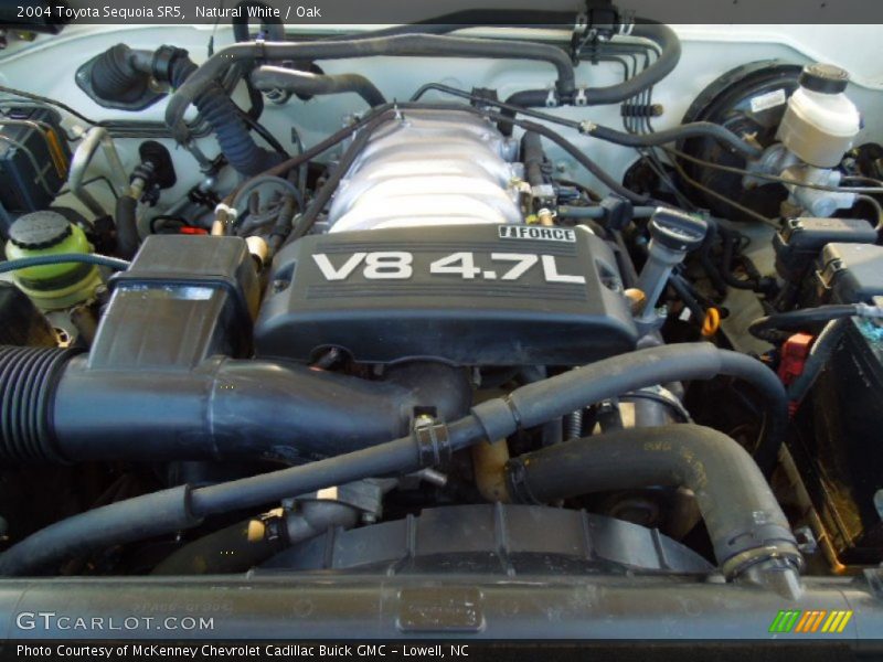 Natural White / Oak 2004 Toyota Sequoia SR5