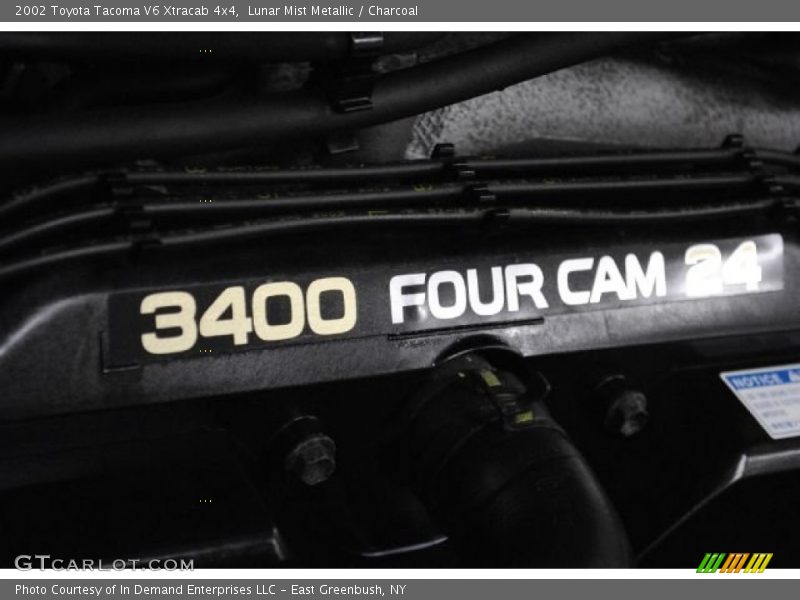 Lunar Mist Metallic / Charcoal 2002 Toyota Tacoma V6 Xtracab 4x4