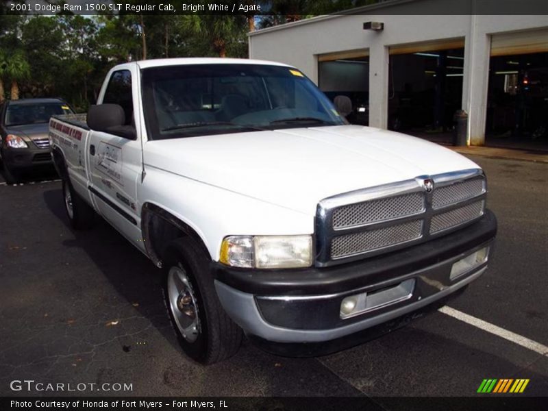 Bright White / Agate 2001 Dodge Ram 1500 SLT Regular Cab
