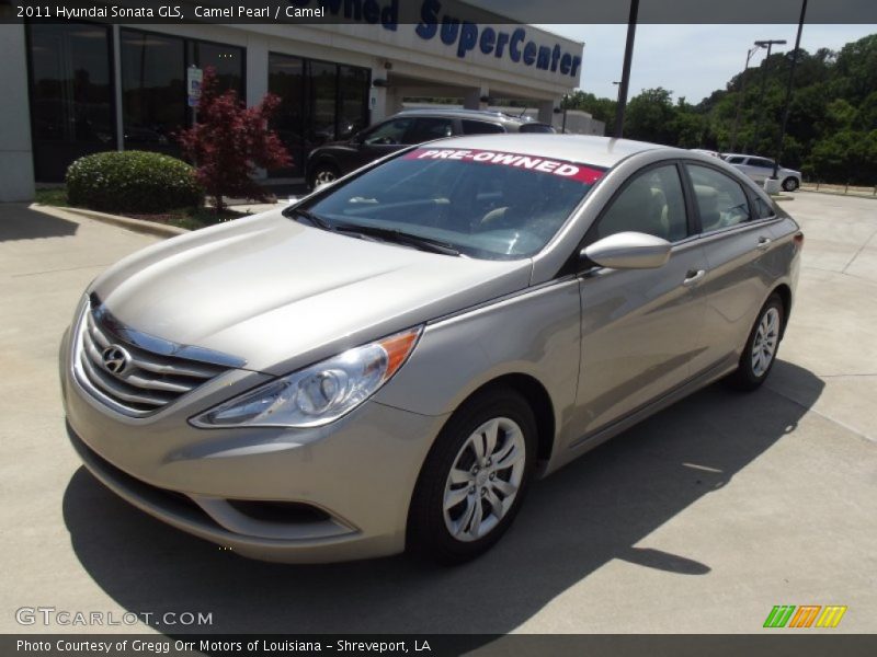 Camel Pearl / Camel 2011 Hyundai Sonata GLS