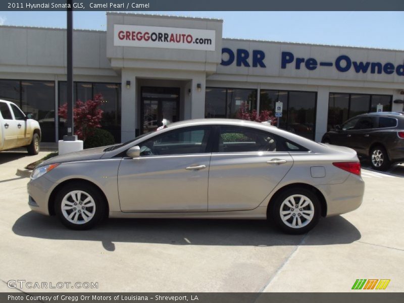 Camel Pearl / Camel 2011 Hyundai Sonata GLS