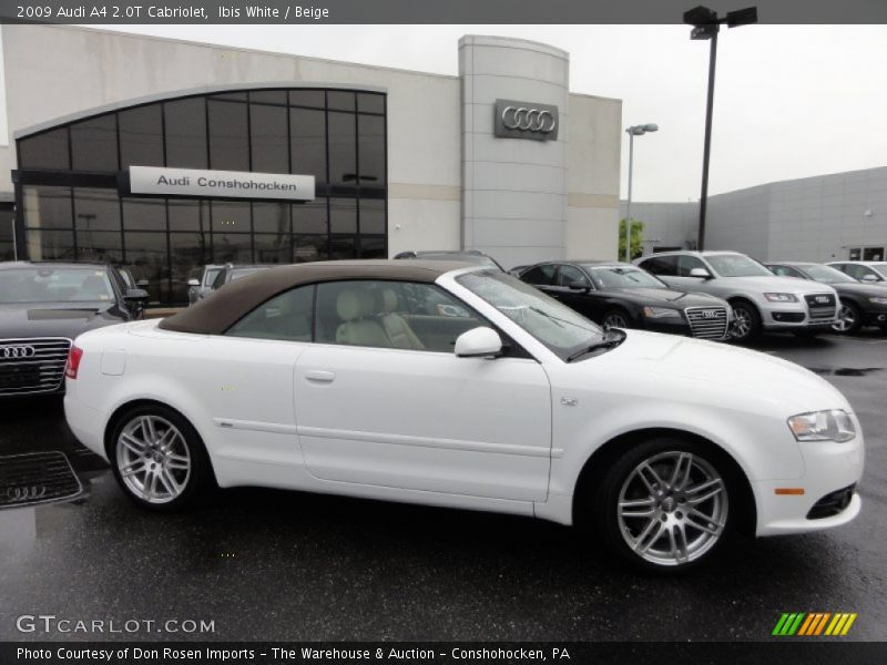 Ibis White / Beige 2009 Audi A4 2.0T Cabriolet