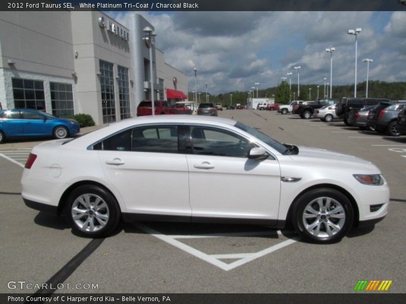White Platinum Tri-Coat / Charcoal Black 2012 Ford Taurus SEL