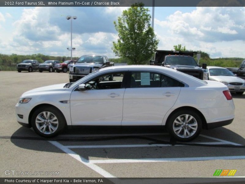 White Platinum Tri-Coat / Charcoal Black 2012 Ford Taurus SEL