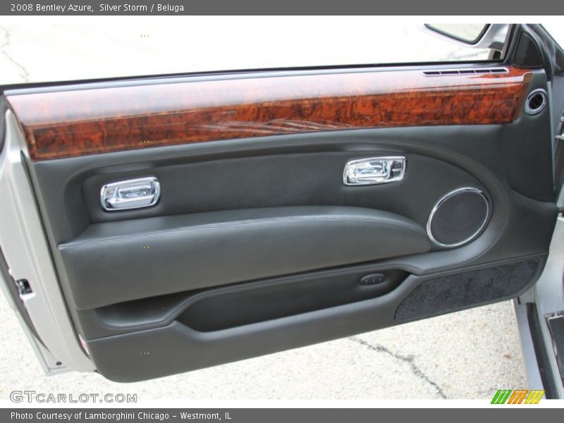 Door Panel of 2008 Azure 