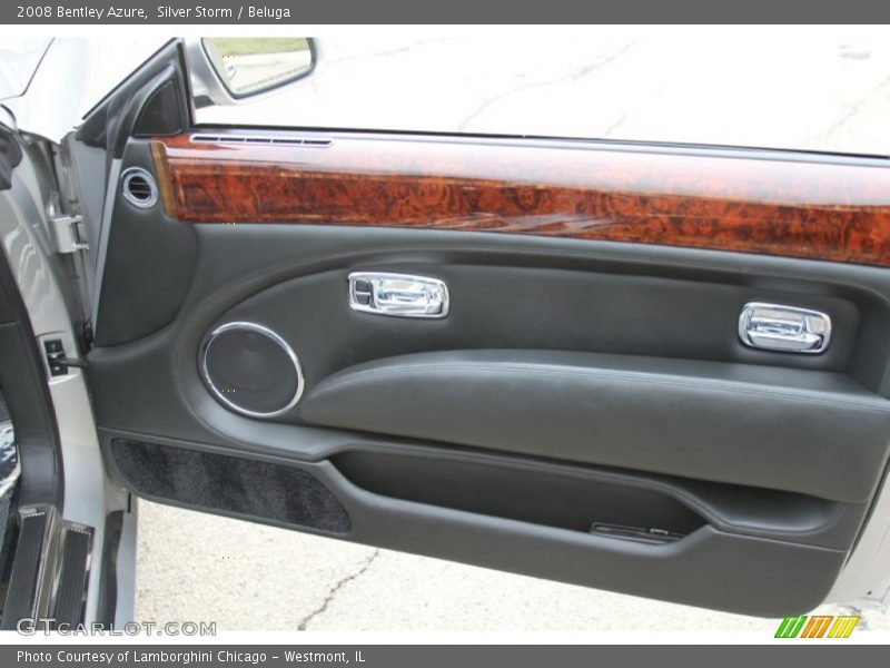 Door Panel of 2008 Azure 