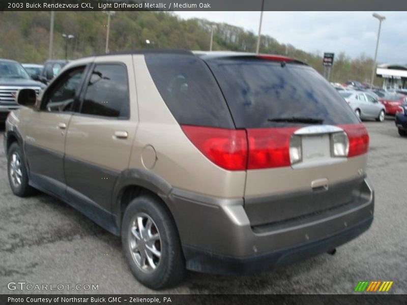 Light Driftwood Metallic / Medium Oak 2003 Buick Rendezvous CXL