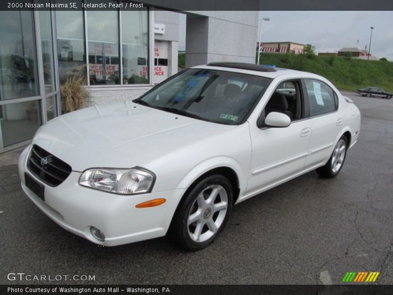 Icelandic Pearl / Frost 2000 Nissan Maxima SE