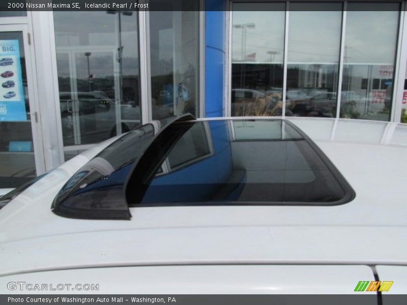 Icelandic Pearl / Frost 2000 Nissan Maxima SE