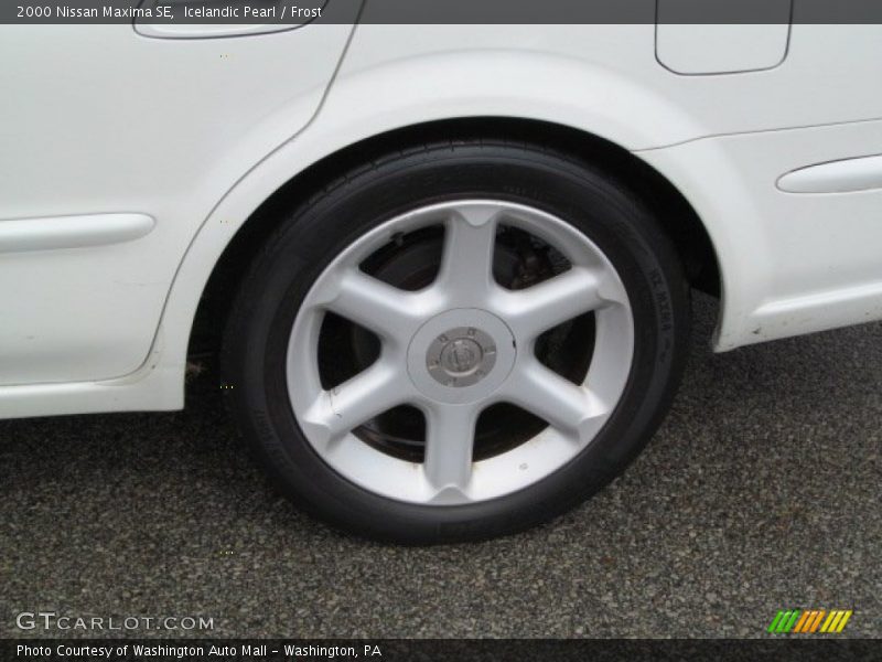 Icelandic Pearl / Frost 2000 Nissan Maxima SE