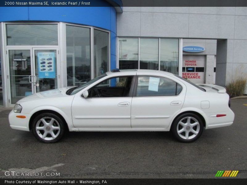 Icelandic Pearl / Frost 2000 Nissan Maxima SE