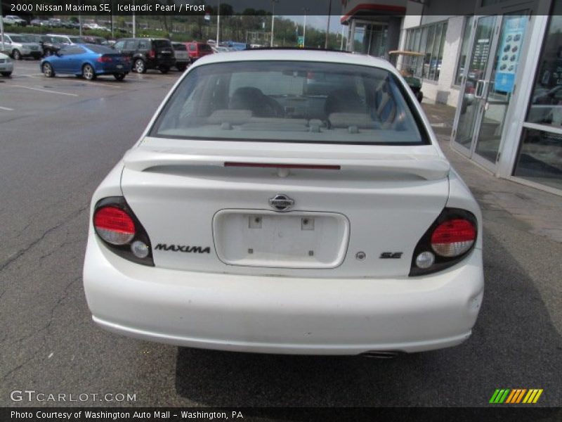 Icelandic Pearl / Frost 2000 Nissan Maxima SE
