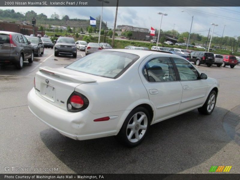 Icelandic Pearl / Frost 2000 Nissan Maxima SE