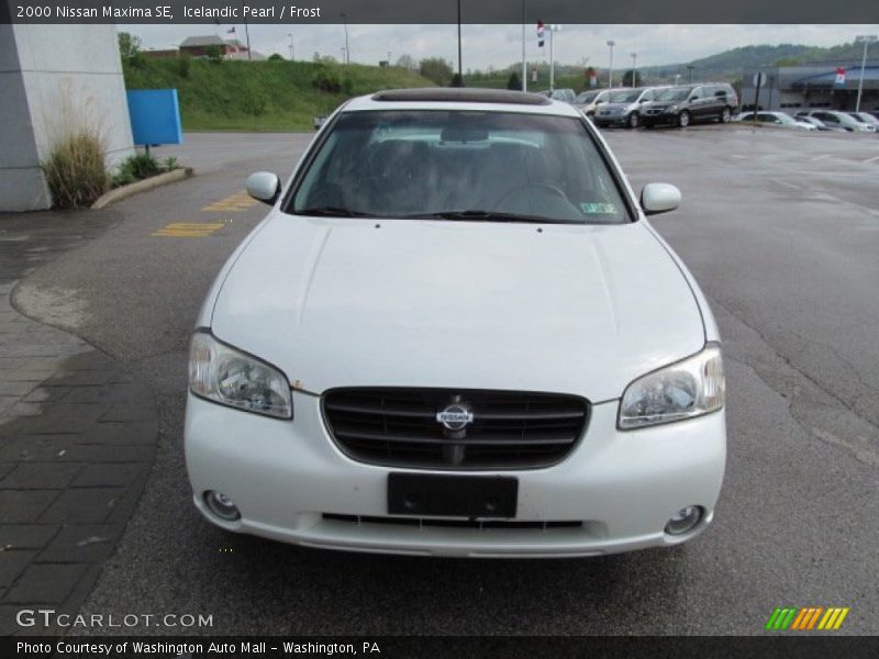 Icelandic Pearl / Frost 2000 Nissan Maxima SE