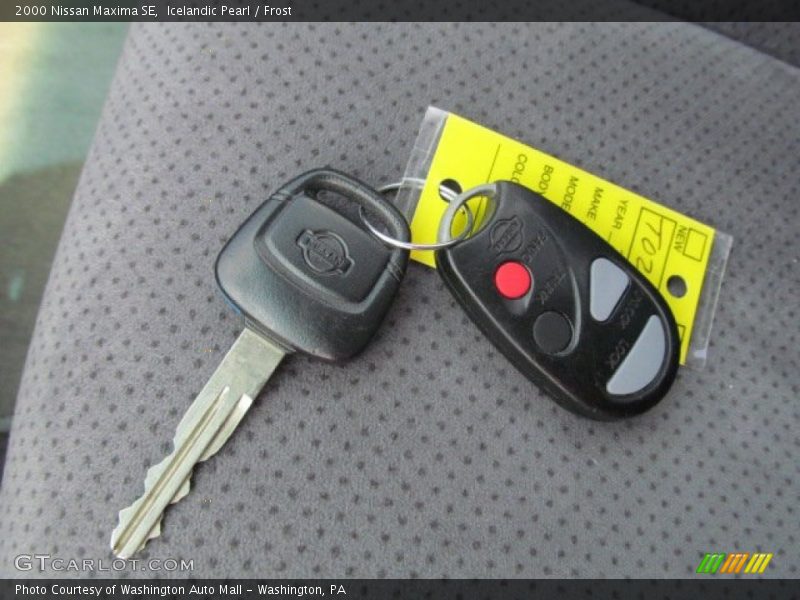 Icelandic Pearl / Frost 2000 Nissan Maxima SE