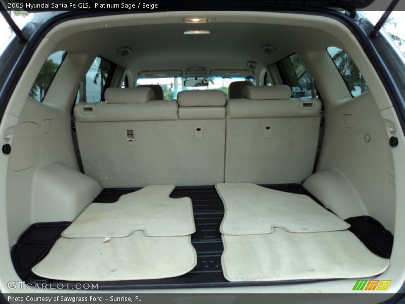 Platinum Sage / Beige 2009 Hyundai Santa Fe GLS