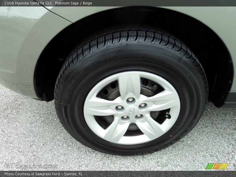Platinum Sage / Beige 2009 Hyundai Santa Fe GLS