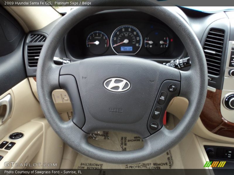 Platinum Sage / Beige 2009 Hyundai Santa Fe GLS