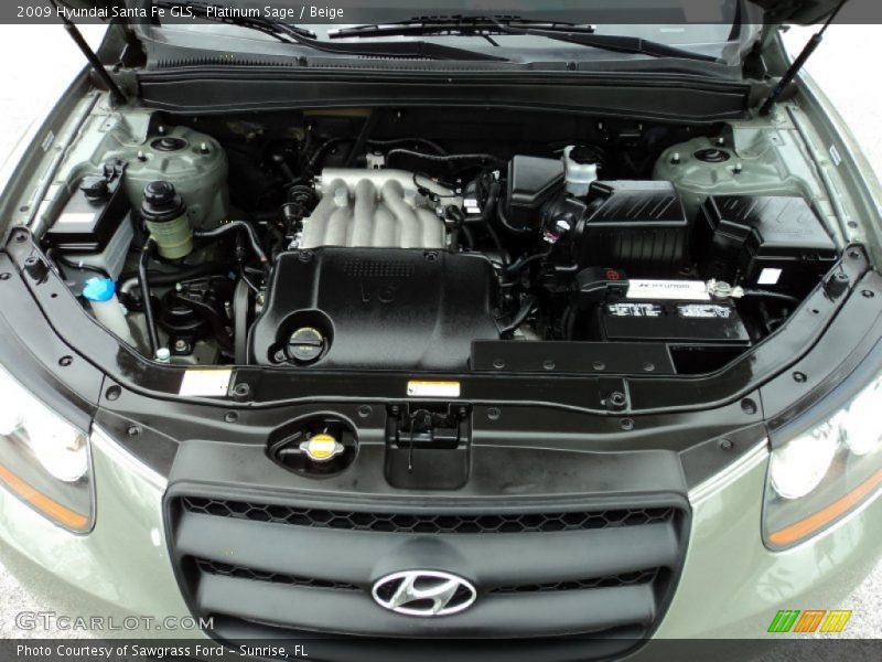 Platinum Sage / Beige 2009 Hyundai Santa Fe GLS