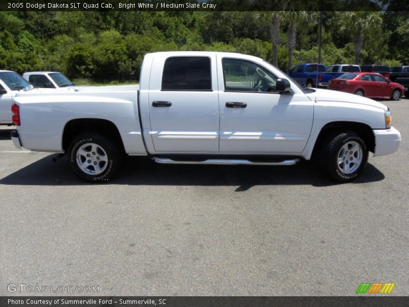 Bright White / Medium Slate Gray 2005 Dodge Dakota SLT Quad Cab
