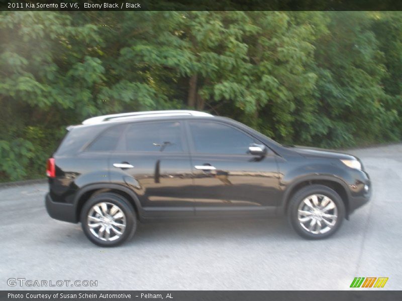 Ebony Black / Black 2011 Kia Sorento EX V6