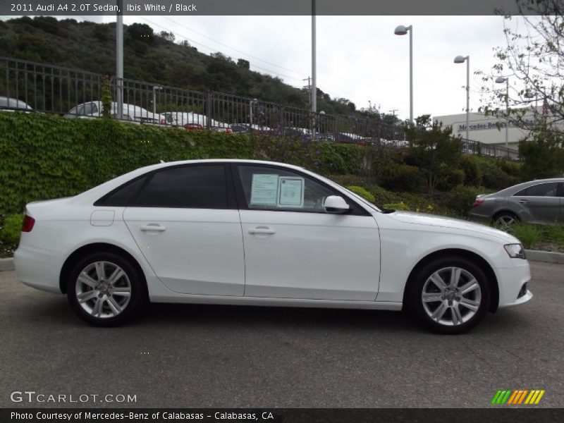 Ibis White / Black 2011 Audi A4 2.0T Sedan