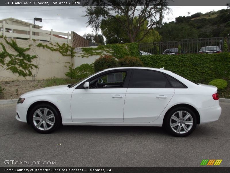 Ibis White / Black 2011 Audi A4 2.0T Sedan