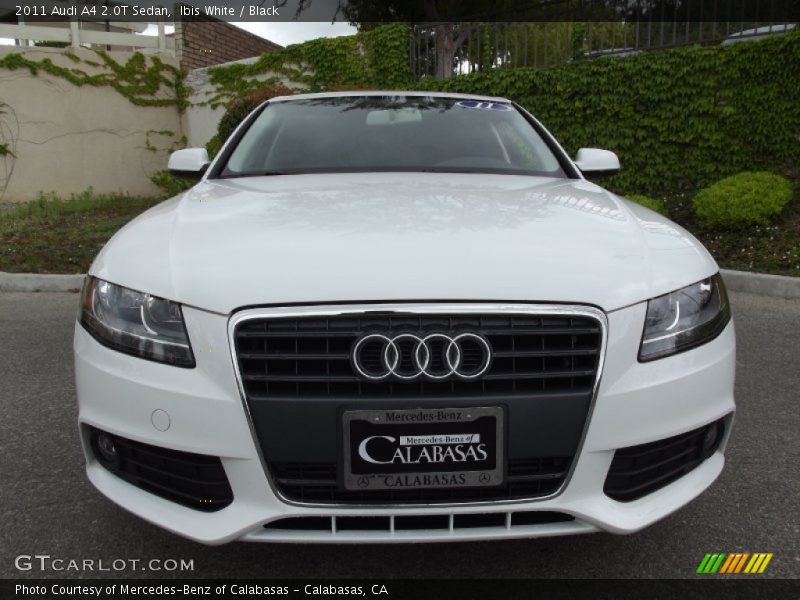 Ibis White / Black 2011 Audi A4 2.0T Sedan