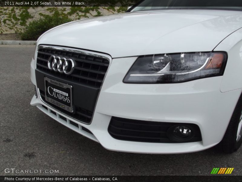 Ibis White / Black 2011 Audi A4 2.0T Sedan