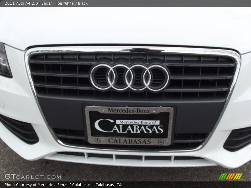 Ibis White / Black 2011 Audi A4 2.0T Sedan