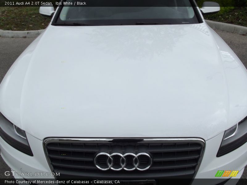 Ibis White / Black 2011 Audi A4 2.0T Sedan