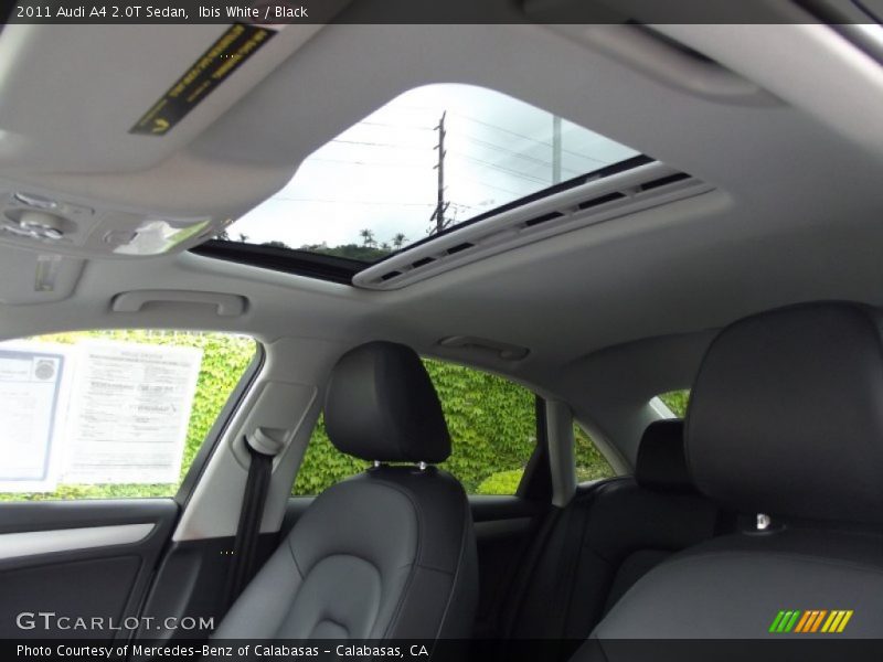 Ibis White / Black 2011 Audi A4 2.0T Sedan