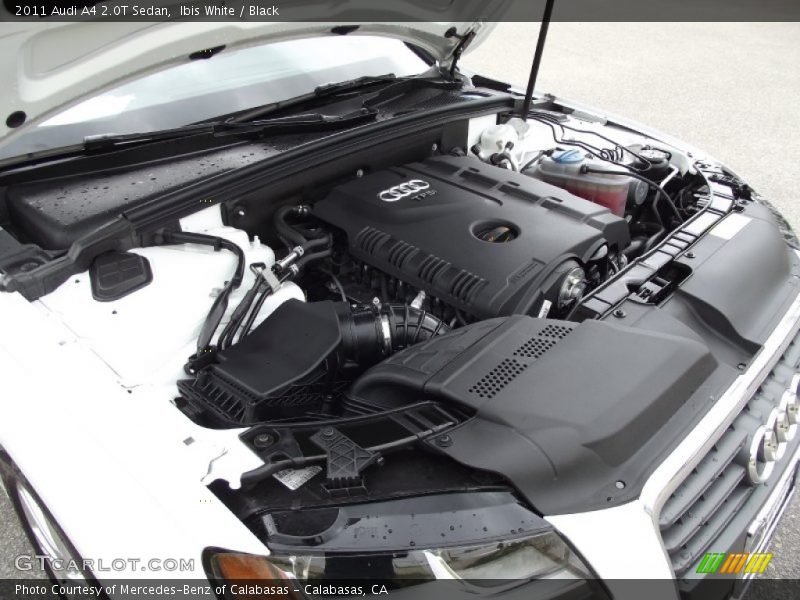 Ibis White / Black 2011 Audi A4 2.0T Sedan