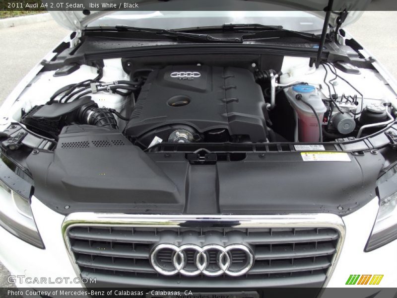 Ibis White / Black 2011 Audi A4 2.0T Sedan