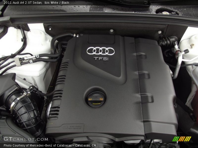 Ibis White / Black 2011 Audi A4 2.0T Sedan