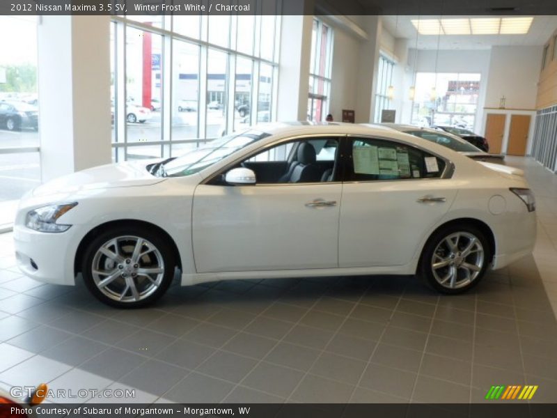 Winter Frost White / Charcoal 2012 Nissan Maxima 3.5 SV
