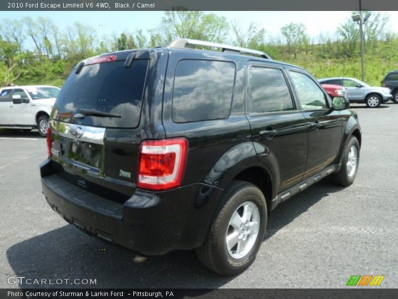 Black / Camel 2010 Ford Escape Limited V6 4WD