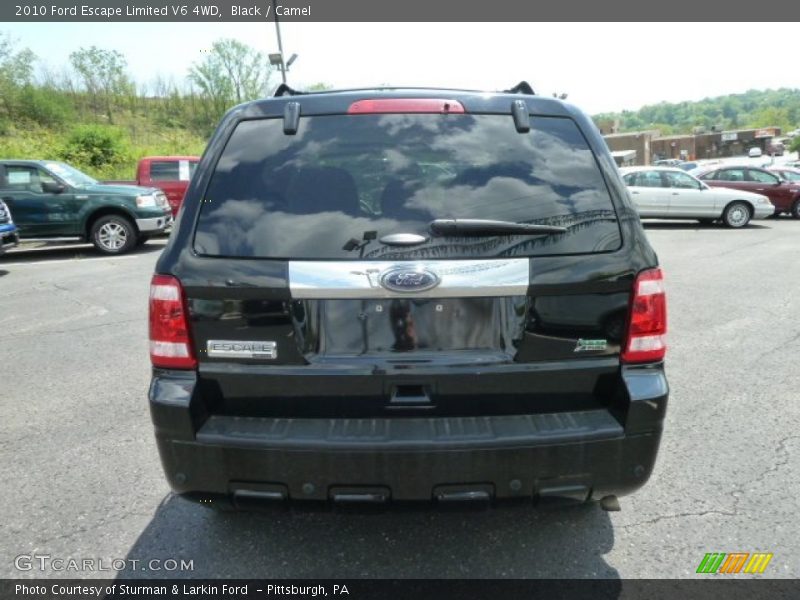 Black / Camel 2010 Ford Escape Limited V6 4WD