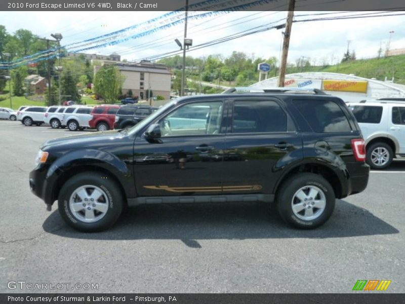 Black / Camel 2010 Ford Escape Limited V6 4WD