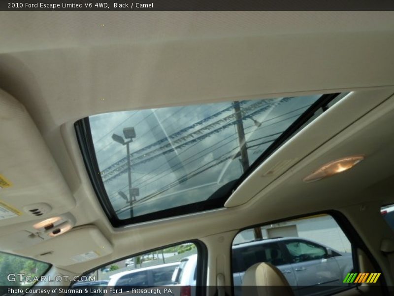 Black / Camel 2010 Ford Escape Limited V6 4WD