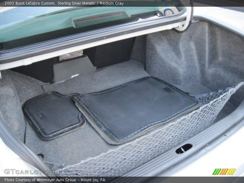 Sterling Silver Metallic / Medium Gray 2003 Buick LeSabre Custom