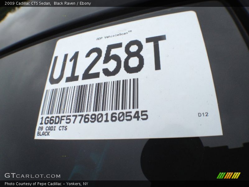 Black Raven / Ebony 2009 Cadillac CTS Sedan