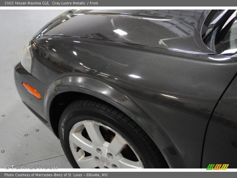 Gray Lustre Metallic / Frost 2002 Nissan Maxima GLE
