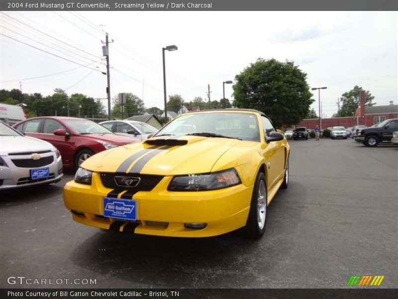 Screaming Yellow / Dark Charcoal 2004 Ford Mustang GT Convertible