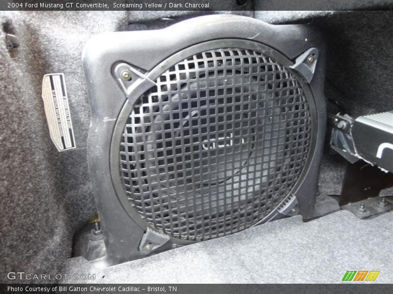 Screaming Yellow / Dark Charcoal 2004 Ford Mustang GT Convertible