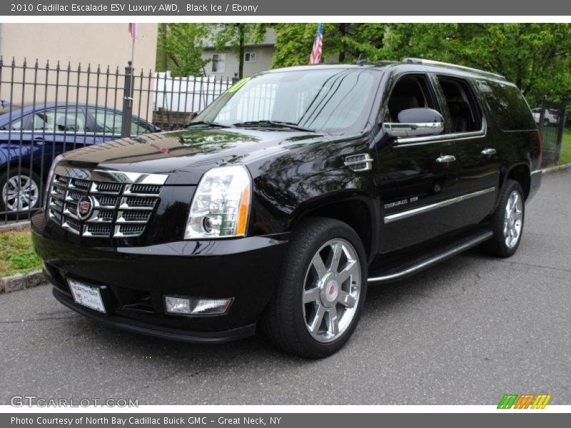Black Ice / Ebony 2010 Cadillac Escalade ESV Luxury AWD